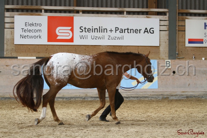 24-ApHC HIH_064.jpg